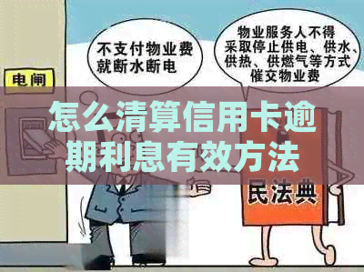 怎么清算信用卡逾期利息有效方法