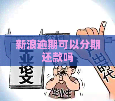新浪逾期可以分期还款吗