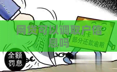 网贷可以调取户信息吗