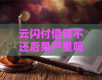 云闪付借钱不还后果严重吗