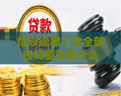 借呗逾期了会全部还吗要注意什么