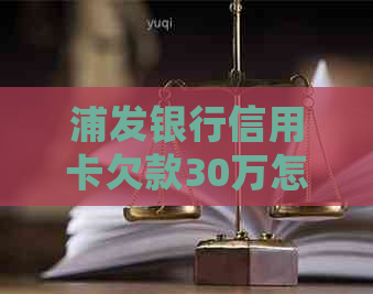 浦发银行信用卡欠款30万怎么处理