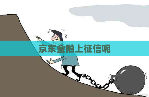京东金融上呢
