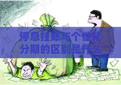 停息挂账与个性化分期的区别是什么