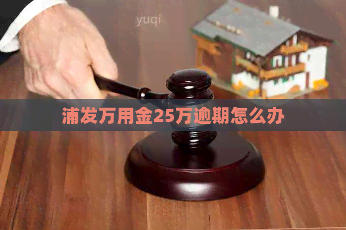 浦发万用金25万逾期怎么办