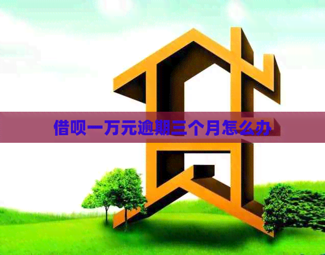 借呗一万元逾期三个月怎么办