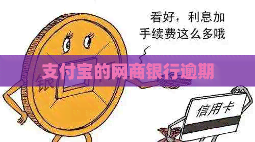 支付宝的网商银行逾期