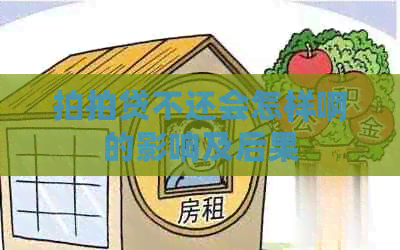 不还会怎样啊的影响及后果