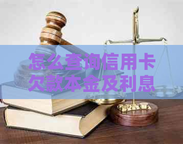 怎么查询信用卡欠款本金及利息
