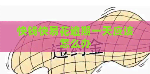 快钱快易花逾期一天应该怎么办