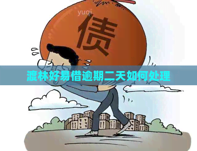 渡林好易借逾期二天如何处理