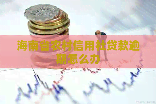 海南省农村信用社贷款逾期怎么办