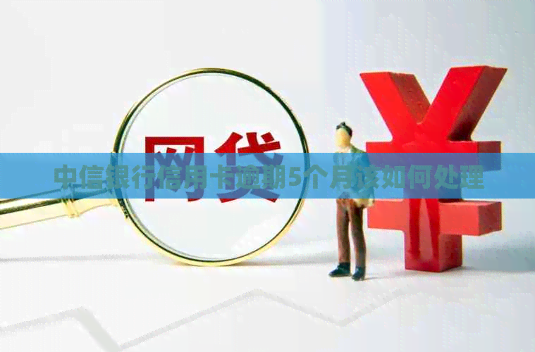 中信银行信用卡逾期5个月该如何处理