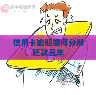 信用卡逾期如何分期还款五年