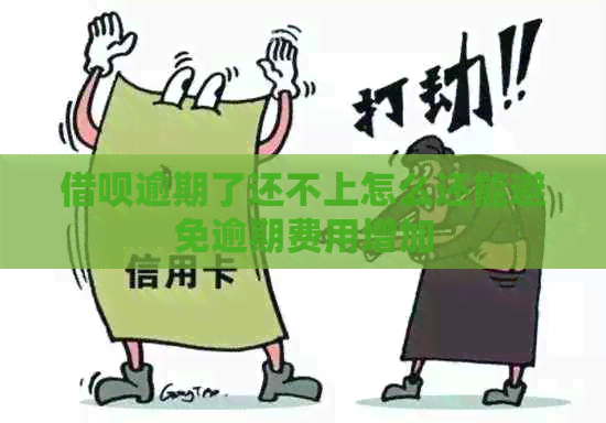 借呗逾期了还不上怎么还能避免逾期费用增加