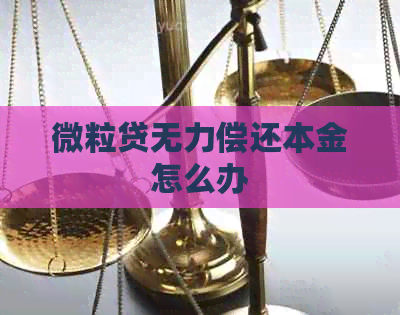 微粒贷无力偿还本金怎么办