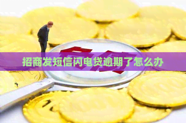 招商发短信闪电贷逾期了怎么办