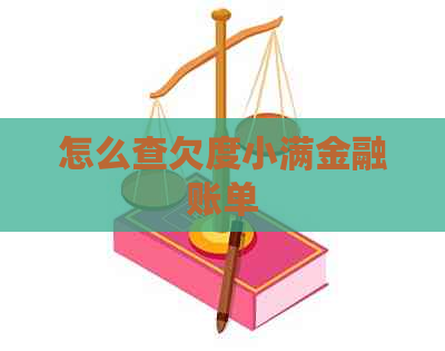 怎么查欠度小满金融账单
