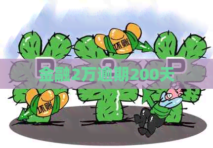 金融2万逾期200天