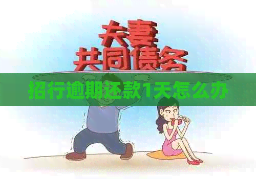 招行逾期还款1天怎么办
