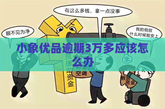 小象优品逾期3万多应该怎么办
