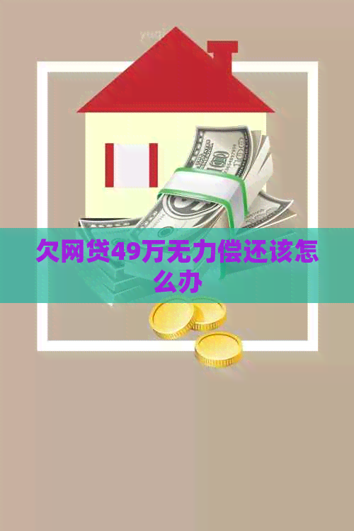 欠网贷49万无力偿还该怎么办