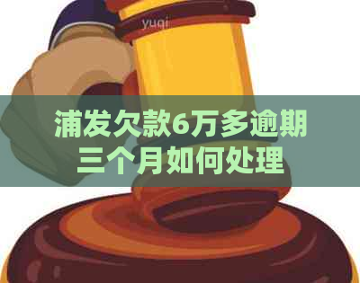 浦发欠款6万多逾期三个月如何处理
