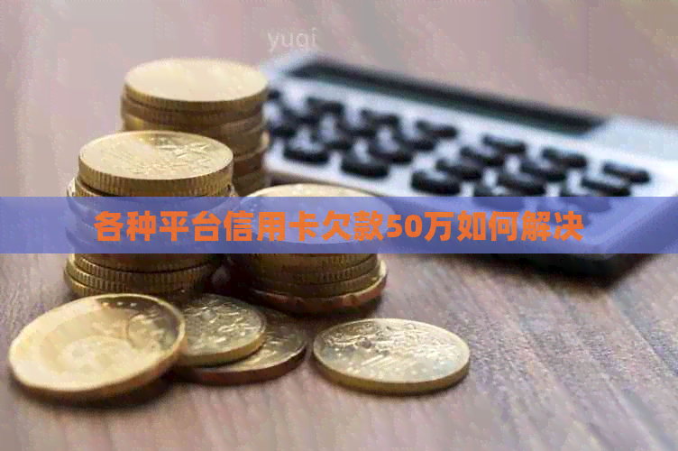 各种平台信用卡欠款50万如何解决