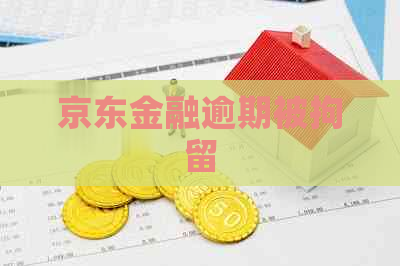 京东金融逾期被拘留