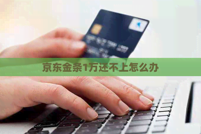 京东金条1万还不上怎么办