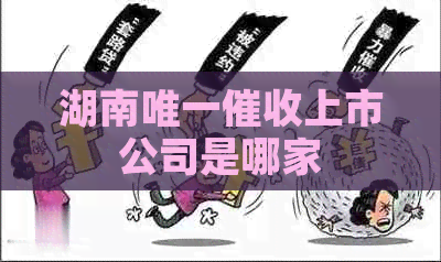 湖南唯一上市公司是哪家