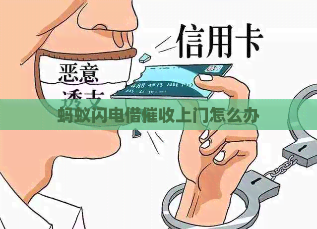 蚂蚁闪电借上门怎么办