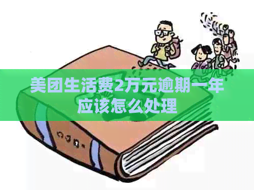 美团生活费2万元逾期一年应该怎么处理