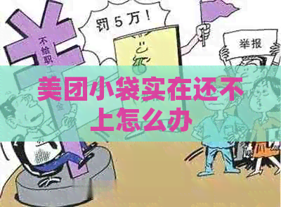 美团小袋实在还不上怎么办