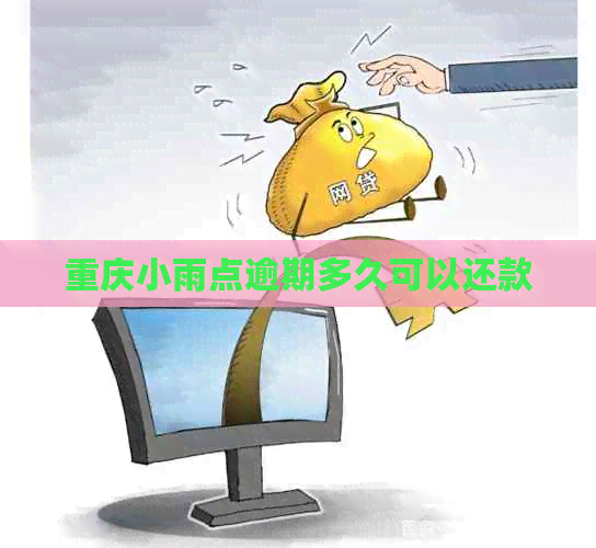 重庆小雨点逾期多久可以还款