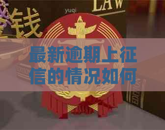 最新逾期上的情况如何