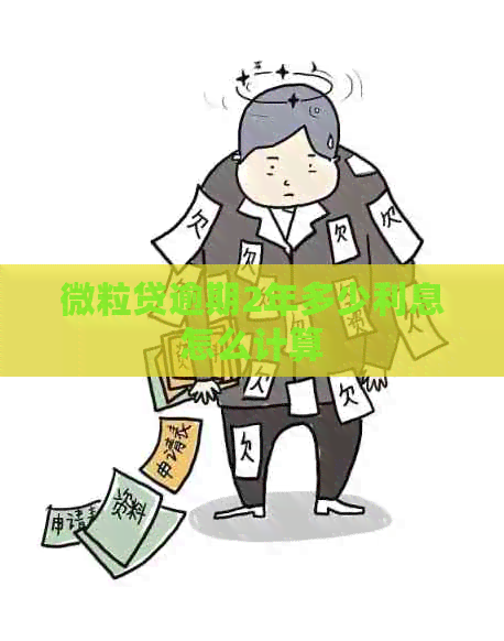 微粒贷逾期2年多少利息怎么计算