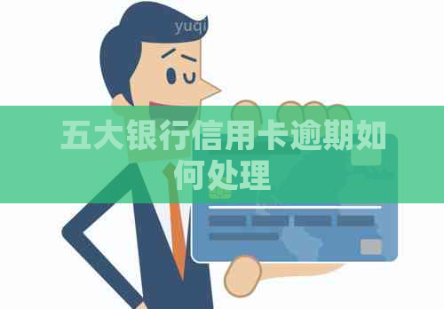 五大银行信用卡逾期如何处理