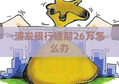 浦发银行逾期26万怎么办