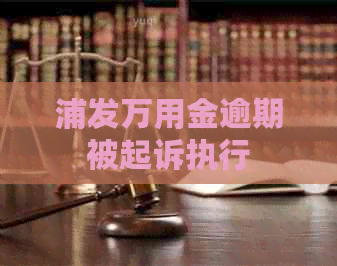 浦发万用金逾期被起诉执行