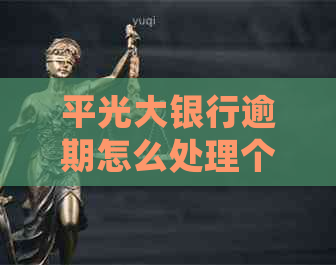 平光大银行逾期怎么处理个人信用