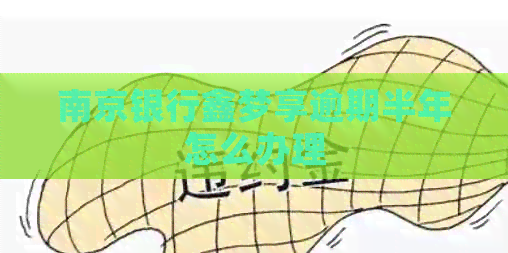 南京银行鑫梦享逾期半年怎么办理