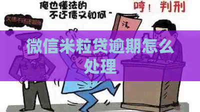 微信米粒贷逾期怎么处理