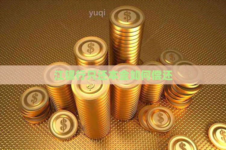 江银行只还本金如何偿还