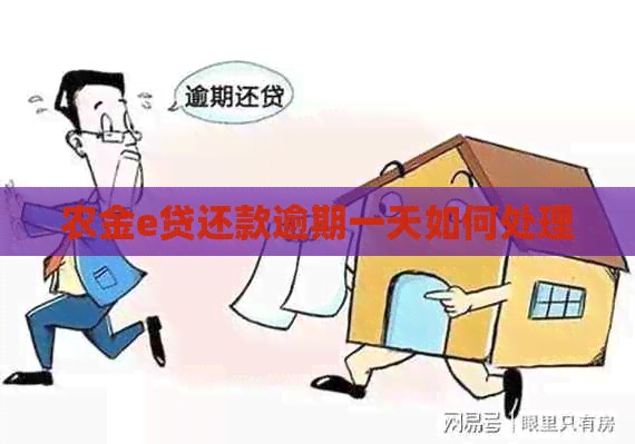 农金e贷还款逾期一天如何处理