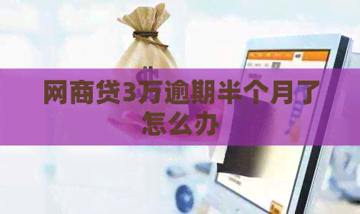 网商贷3万逾期半个月了怎么办