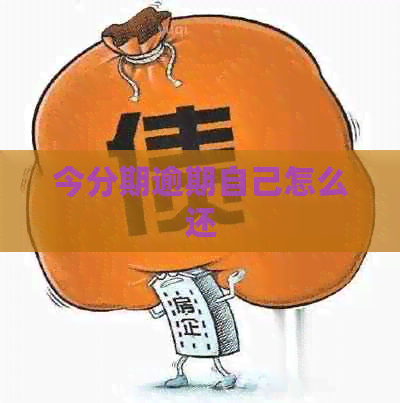 今分期逾期自己怎么还