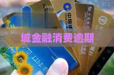 城金融消费逾期