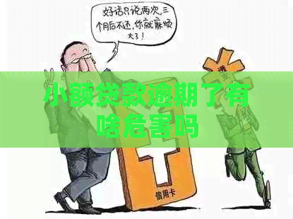 小额贷款逾期了有啥危害吗