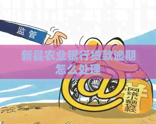 新县农业银行贷款逾期怎么处理